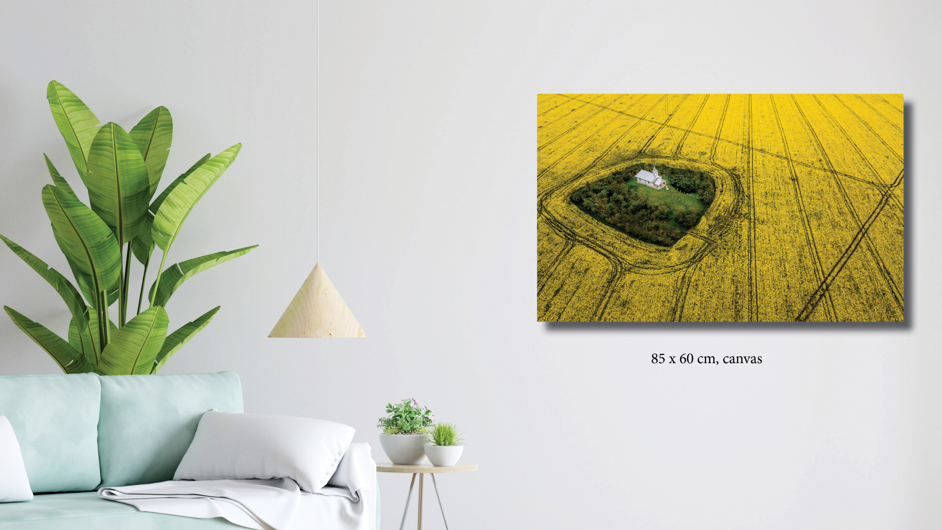 tablouri de vanzare 1920x1080